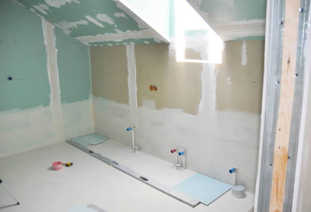 Best Post-Construction Mold Inspection  in Dakota Dunes, SD