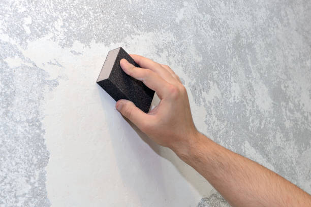 Best Water Damage & Mold Remediation  in Dakota Dunes, SD