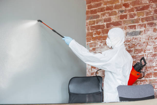 Best Mold Prevention Services  in Dakota Dunes, SD