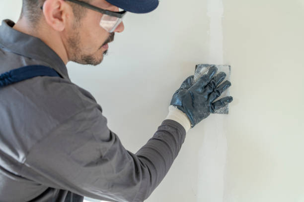Best Residential Mold Inspection & Testing  in Dakota Dunes, SD
