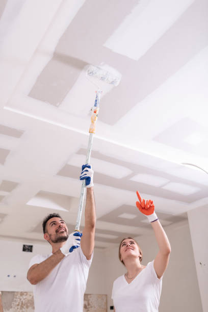 Mold Removal for HVAC Installations in Dakota Dunes, SD