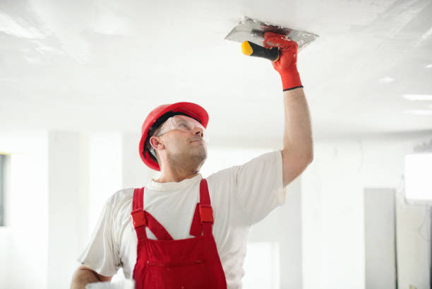 Best Mold Removal for HVAC Installations  in Dakota Dunes, SD