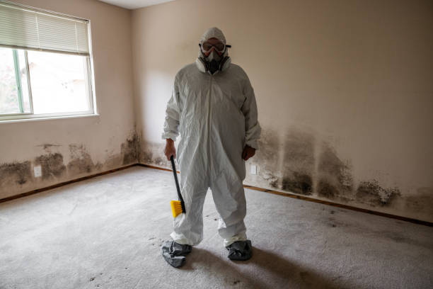 Best Asbestos and Lead Testing During Mold Inspection  in Dakota Dunes, SD