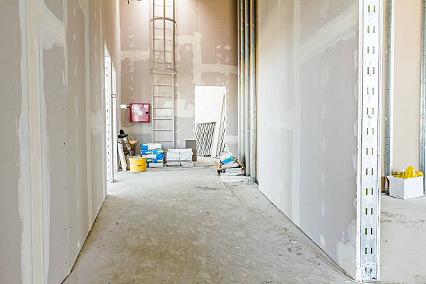 Best Mold Odor Removal Services  in Dakota Dunes, SD
