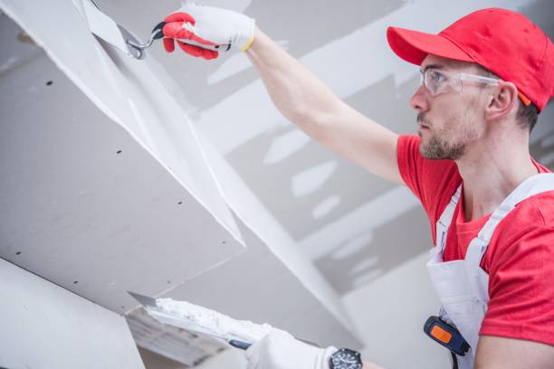 Best Mold Removal for HVAC Installations  in Dakota Dunes, SD